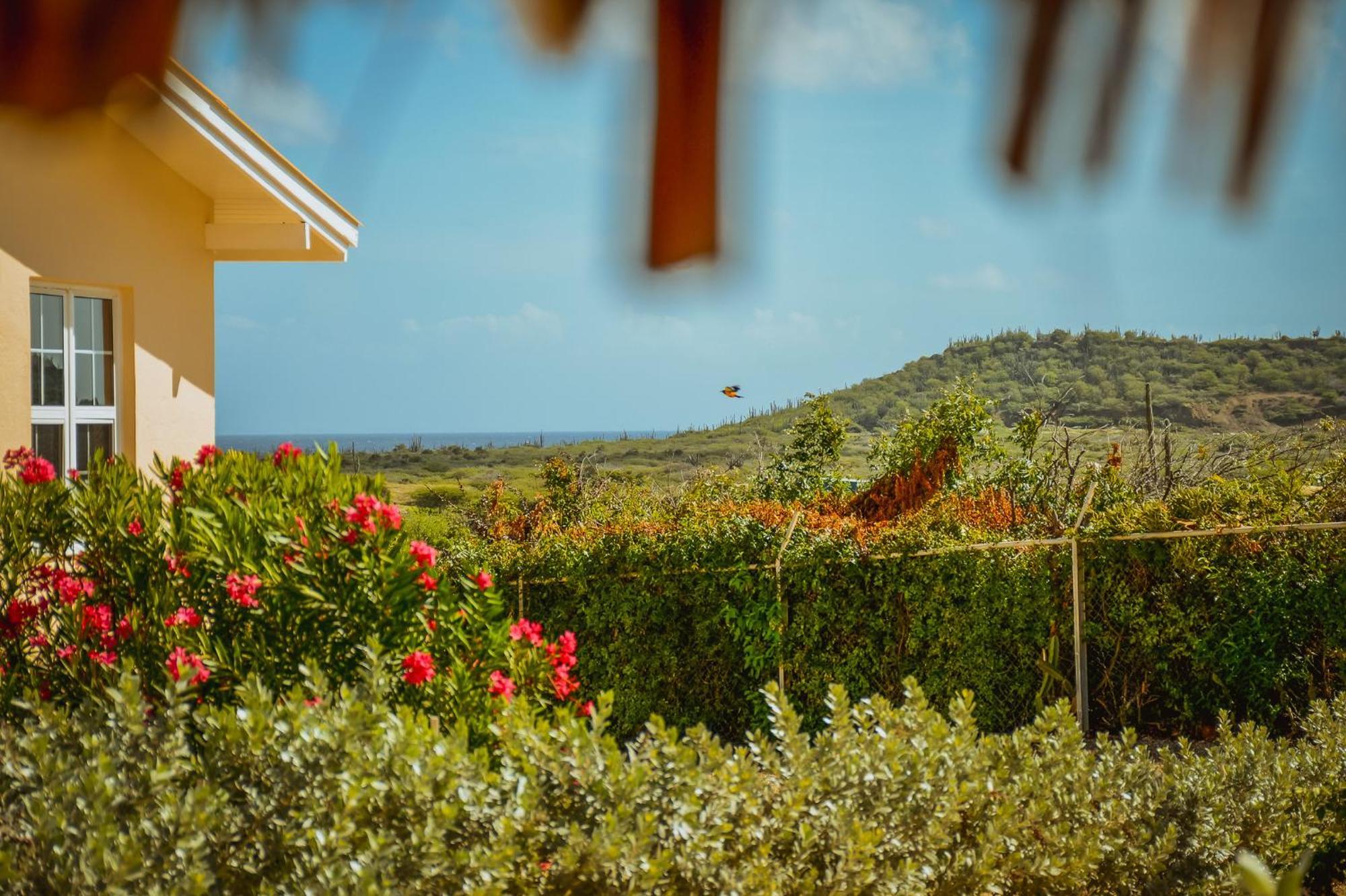 Santa Catharina Resort - Casa Samson Willemstad Kültér fotó